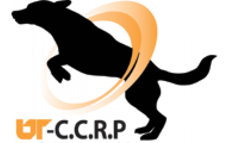 University of Tennessee: CCRP Academic Coaching Package