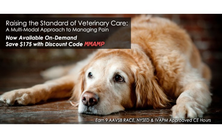 Raising the Standard of Veterinary Care:  A Multi-Modal Approach to Managing Pain - ON DEMAND