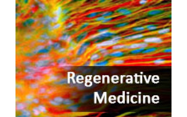 Regenerative Medicine: A Change in the Veterinary Practice Paradigm (October 2014)