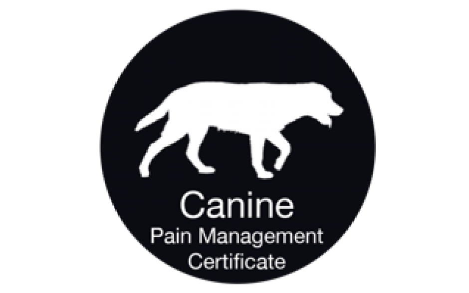 University of Tennessee: Companion Animal Pain Management Certificate Course