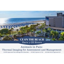 CE on the Beach - Animals in Pain: Thermal Imaging for Assessment and Management 