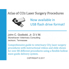 Atlas of CO2 Laser Surgery Procedures (USB)