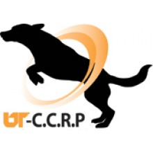 University of Tennessee: CCRP Canine I: Introduction to Canine Rehabilitation