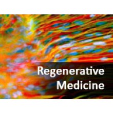 Regenerative Medicine: A Change in the Veterinary Practice Paradigm (October 2014)