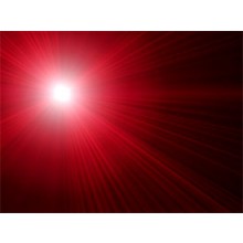 Veterinary Medical Laser Safety Officer