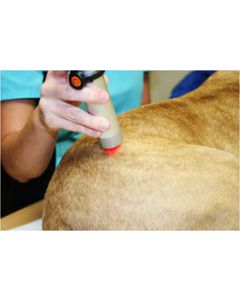 Intro to Companion Animal Laser Therapy