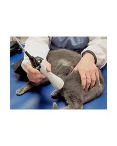The Practical Use of Therapeutic Lasers in a Companion Animal Rehabilitation Practice